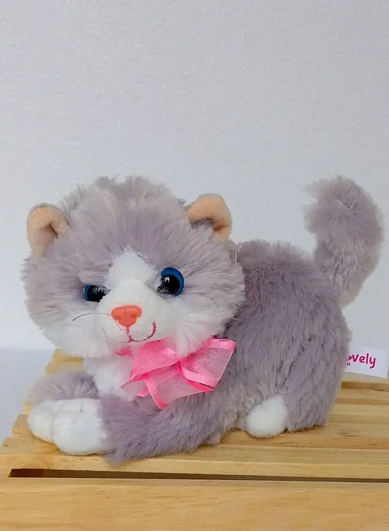 Gata gris