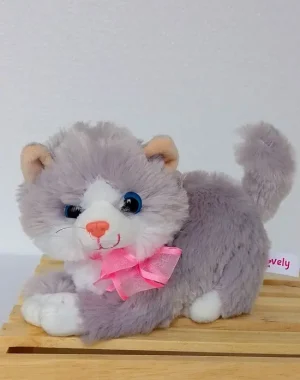GATA GRIS_